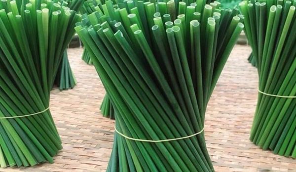 How-grass-straw-are-made