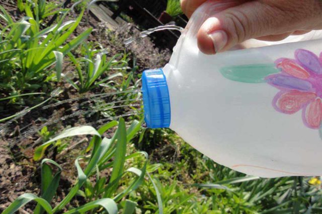 recycled bottle watering can
