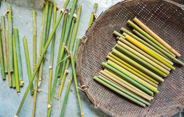 bamboo straws cut