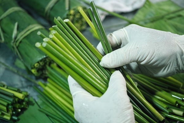 cut-grass-straws