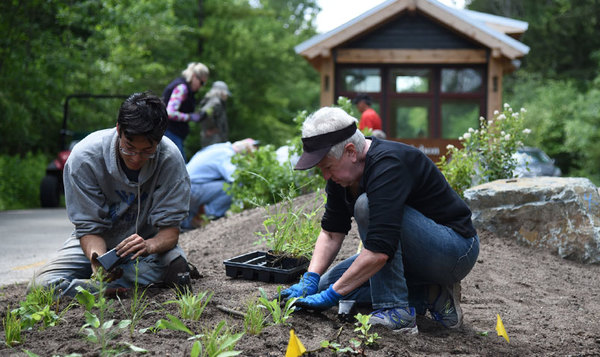 environmental-volunteer