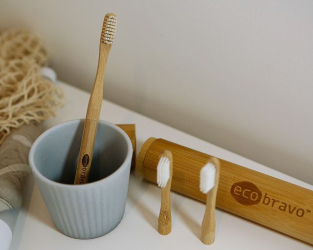 Eco Bravo Conventional toothbrushes review