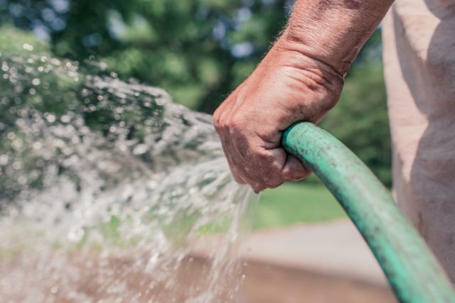 Compost and harvest water for Sustainable & Organic Garden