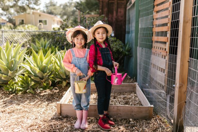 Plant your own garden on Memorial Day