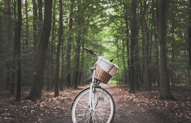 Riding Your Bike Reduces noise pollution