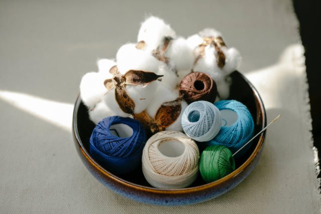 Top Reasons To Buy Products Made from Organic Cotton