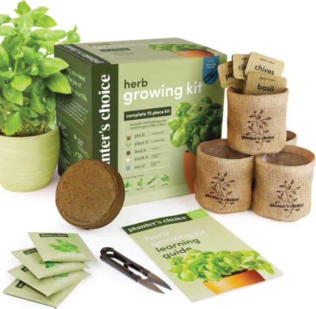 Organic Herb Garden Kit Indoor Eco-Friendly Christmas Gift Idea