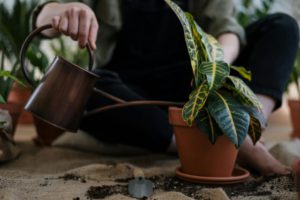 eco-friendly Christmas gift ideas for gardening lover