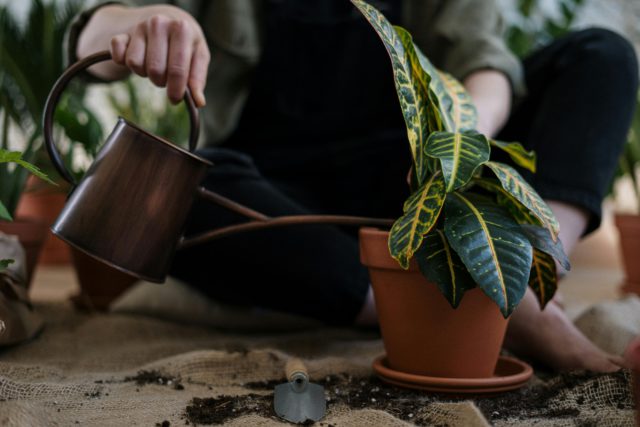 eco-friendly Christmas gift ideas for gardening lover